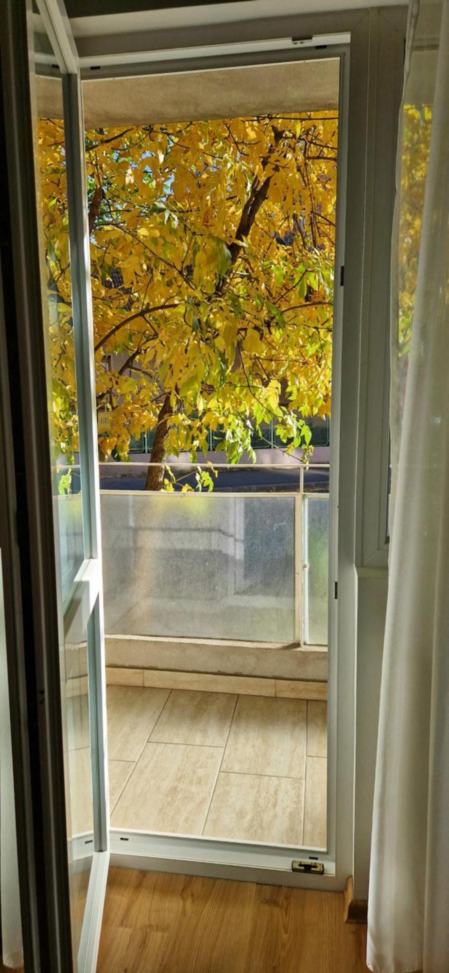 Apartamentul GAVIOTA Timişoara Exterior foto